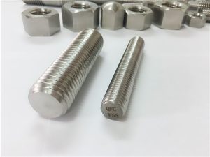 N. 81-F55 Elementi di fissaggio in acciaio inossidabile Zeron100 barra filettata S32760