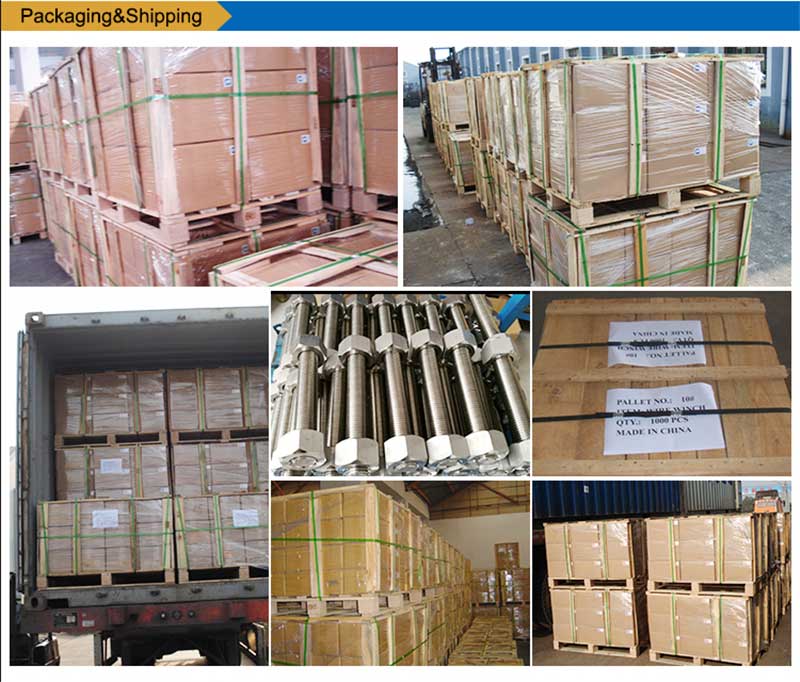 Di acciaio inossidabile-List-Bolts-Vite-Fastener-packing